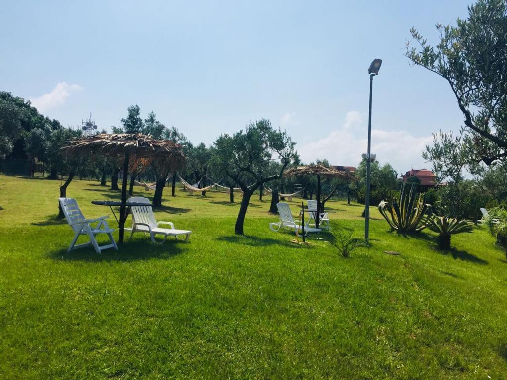 Гостевой дом Agriturismo Masseria I Risi Санта-Эуфемия-Ламеция Экстерьер фото