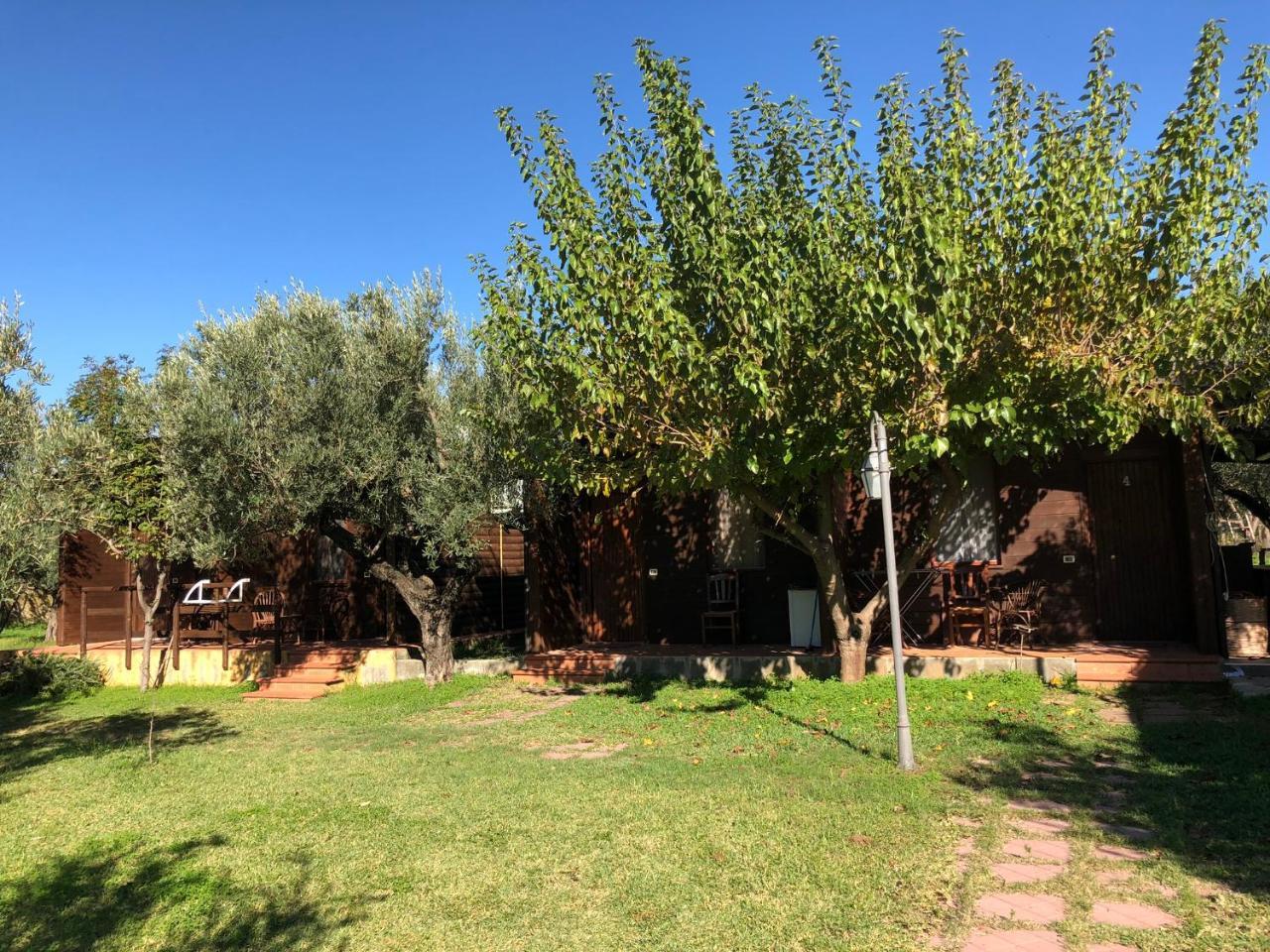 Гостевой дом Agriturismo Masseria I Risi Санта-Эуфемия-Ламеция Экстерьер фото
