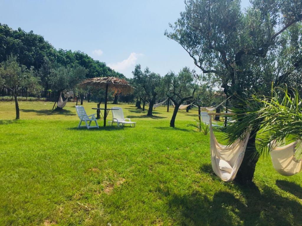 Гостевой дом Agriturismo Masseria I Risi Санта-Эуфемия-Ламеция Экстерьер фото